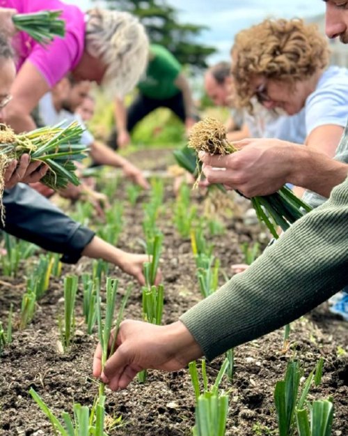 Des dirigeant&middot;es au travail dans les cultures du potager de l'&Eacute;co-Domaine La Fontaine